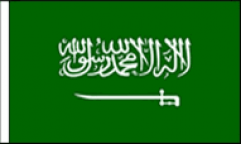 Saudi Arabia Hand Waving Flags